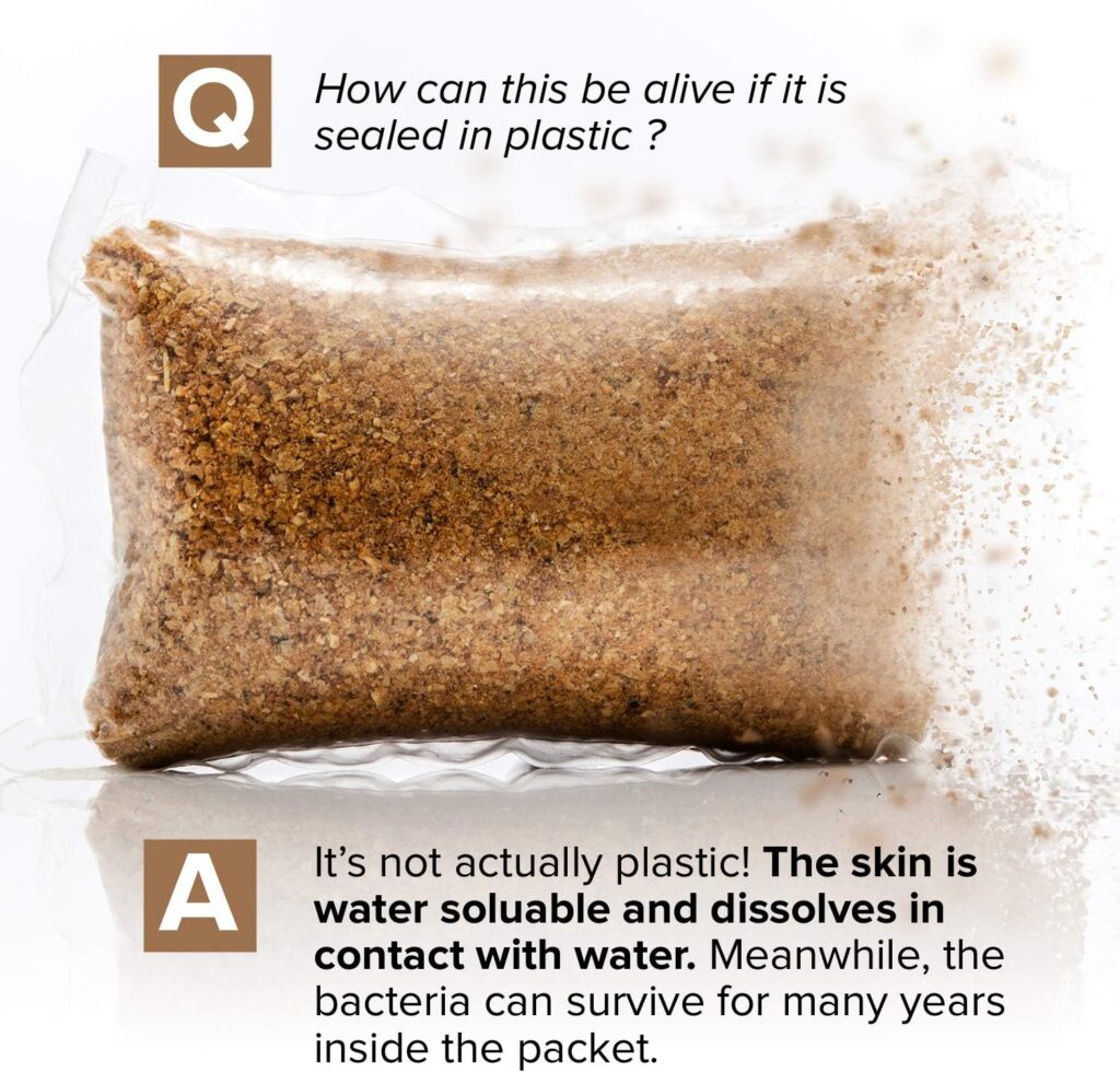 Septic Tank Treatment