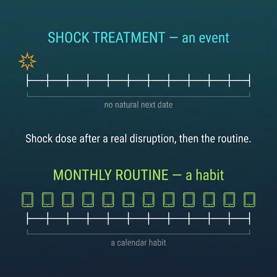 maintain-septic-tank Two timelines compared: a shock treatment marked once at the start with no natural next date, and a monthly routine with a dose marked at every one of twelve months